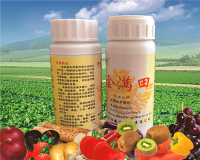 昆明金满田